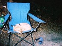 photos 2000-200900894